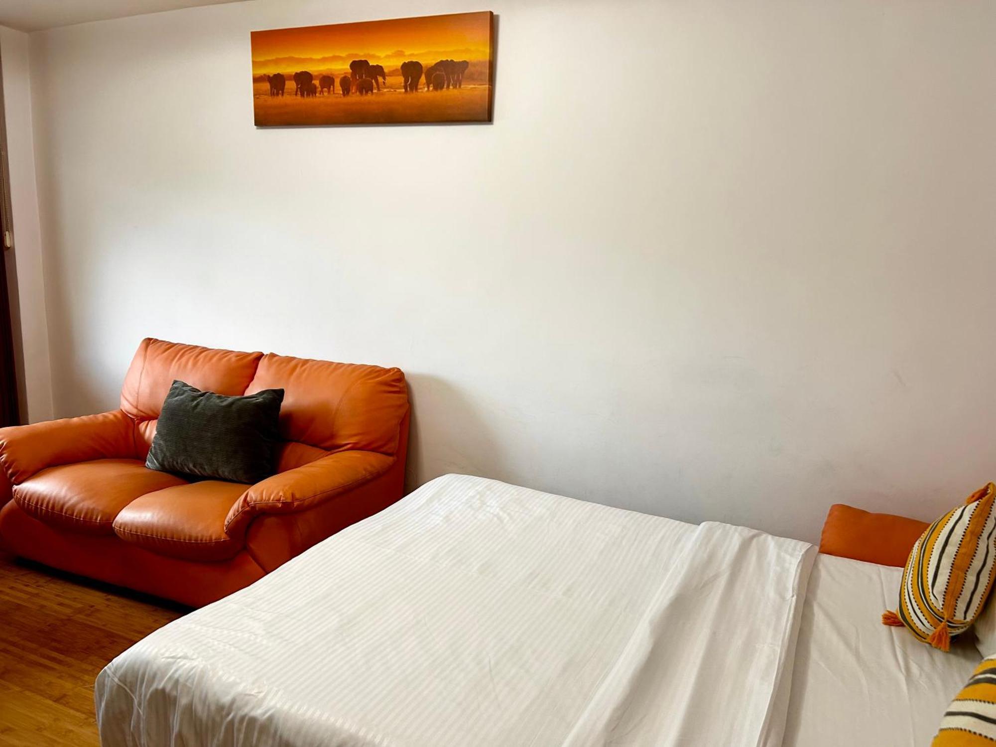 Jad - Familiy 4 Rooms Apartment - Near Forest - Racadau บราชอฟ ภายนอก รูปภาพ